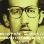 Mohammad Hashem Zamani: A Voice of Resistance and Poetry in Afghan Literature